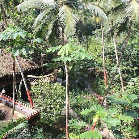 Dominican Tree House Village Santa Barbara De Samana Exterior photo