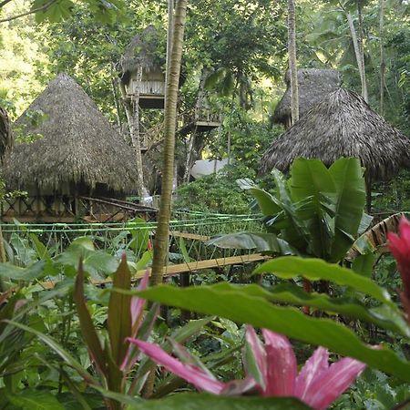 Dominican Tree House Village Santa Barbara De Samana Exterior photo