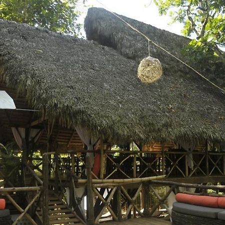 Dominican Tree House Village Santa Barbara De Samana Exterior photo