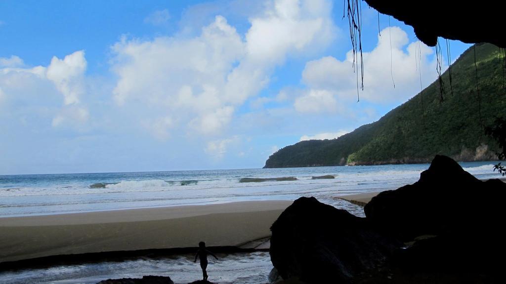 Dominican Tree House Village Santa Barbara De Samana Exterior photo