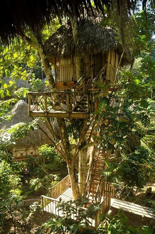 Dominican Tree House Village Santa Barbara De Samana Exterior photo