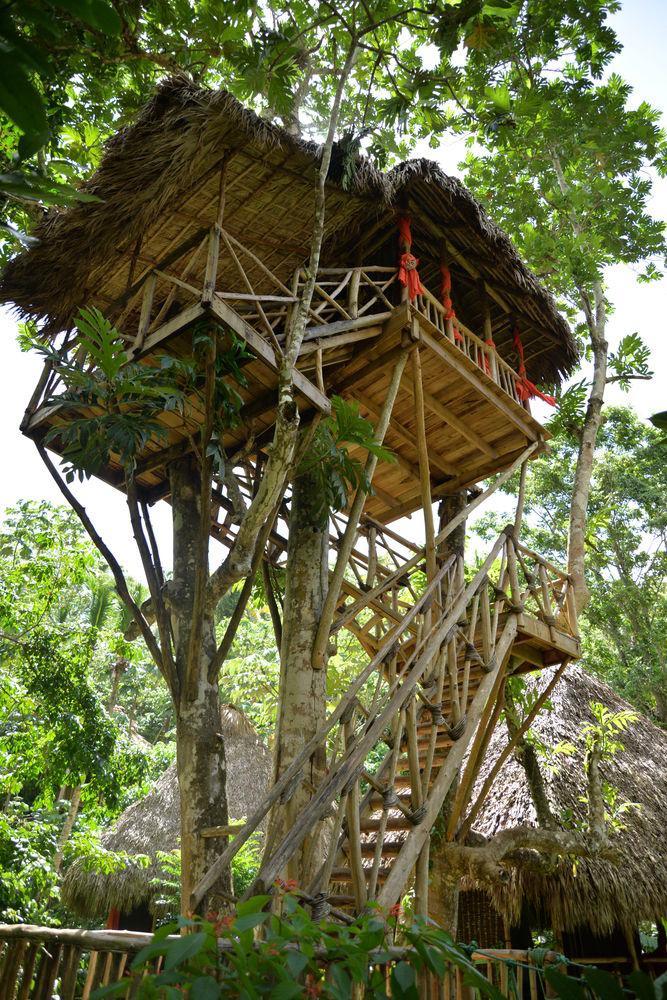 Dominican Tree House Village Santa Barbara De Samana Exterior photo
